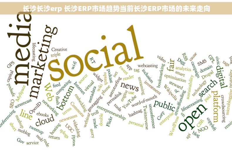 长沙长沙erp 长沙ERP市场趋势当前长沙ERP市场的未来走向