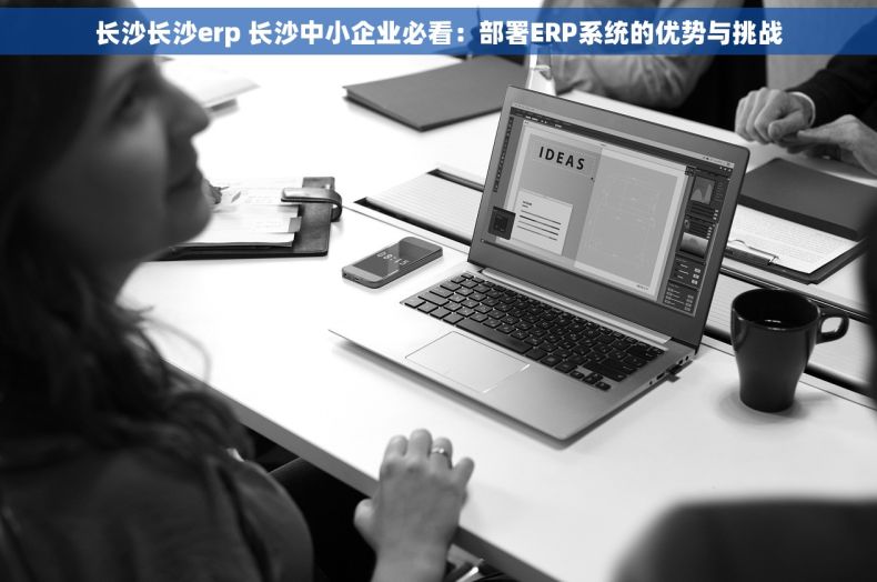 长沙长沙erp 长沙中小企业必看：部署ERP系统的优势与挑战