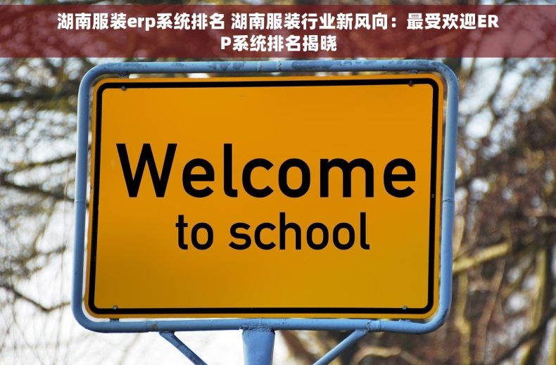 湖南服装erp系统排名 湖南服装行业新风向：最受欢迎ERP系统排名揭晓