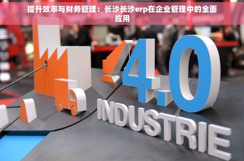 提升效率与财务管理：长沙长沙erp在企业管理中的全面应用