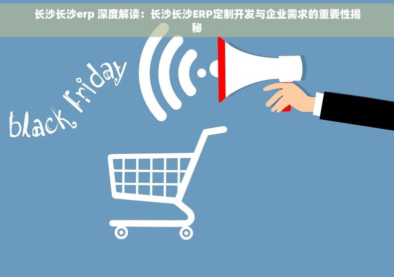 长沙长沙erp 深度解读：长沙长沙ERP定制开发与企业需求的重要性揭秘