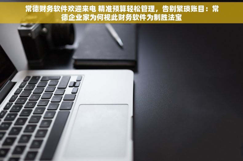 常德财务软件欢迎来电 精准预算轻松管理，告别繁琐账目：常德企业家为何视此财务软件为制胜法宝