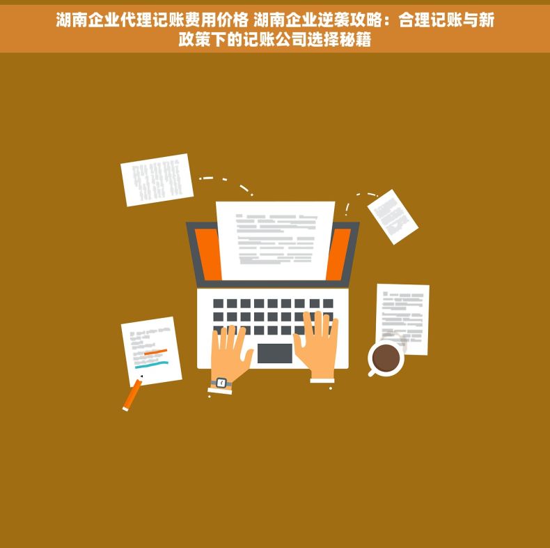 湖南企业代理记账费用价格 湖南企业逆袭攻略：合理记账与新政策下的记账公司选择秘籍