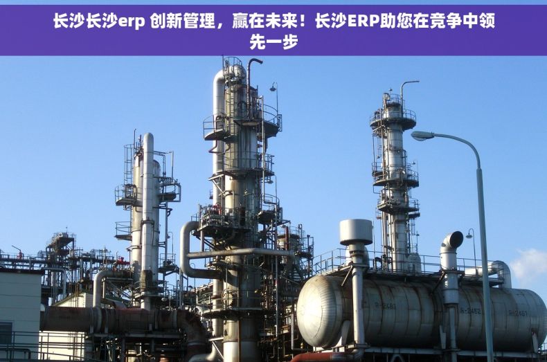长沙长沙erp 创新管理，赢在未来！长沙ERP助您在竞争中领先一步