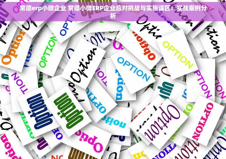 常德erp小微企业 常德小微ERP企业应对挑战与实施误区：实战案例分析