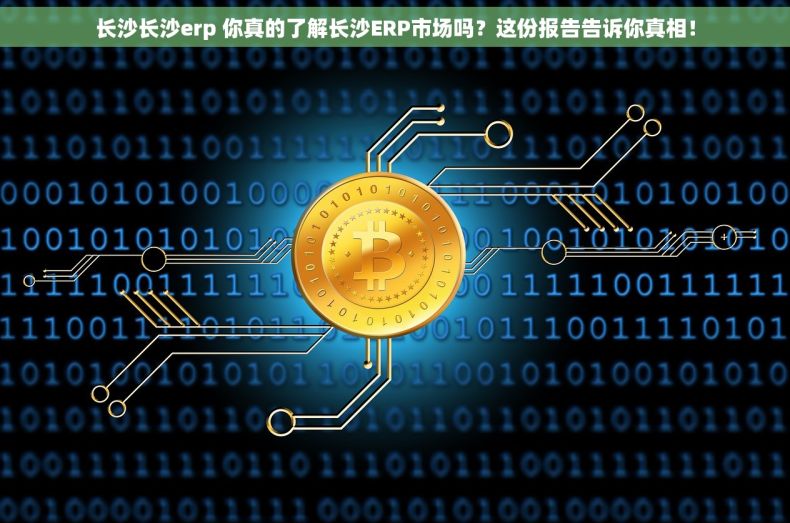 长沙长沙erp 你真的了解长沙ERP市场吗？这份报告告诉你真相！