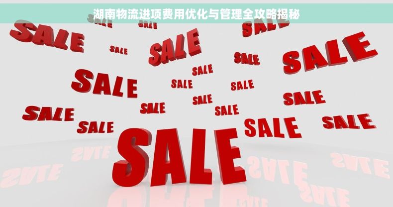 湖南物流进项费用优化与管理全攻略揭秘
