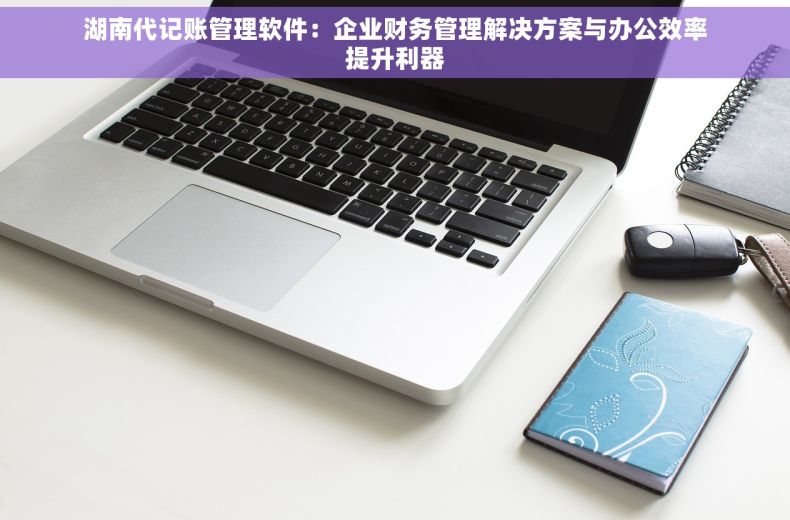 湖南代记账管理软件：企业财务管理解决方案与办公效率提升利器