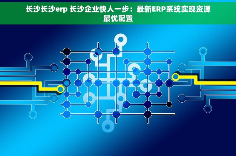 长沙长沙erp 长沙企业快人一步：最新ERP系统实现资源最优配置