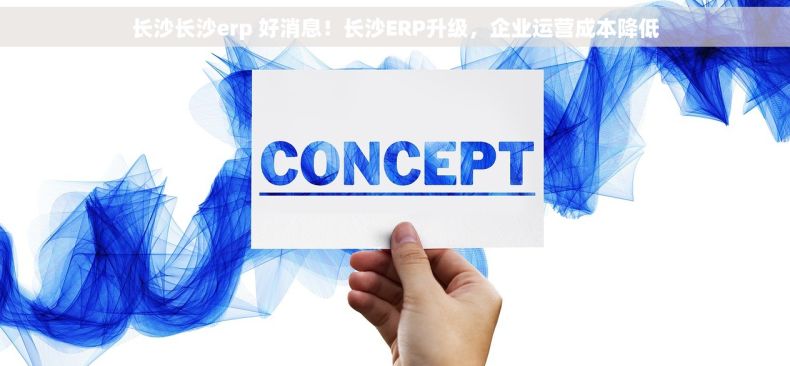 长沙长沙erp 好消息！长沙ERP升级，企业运营成本降低