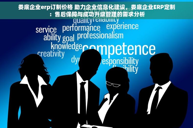 娄底企业erp订制价格 助力企业信息化建设，娄底企业ERP定制：售后保障与成功升级管理的需求分析