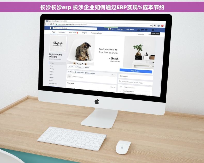 长沙长沙erp 长沙企业如何通过ERP实现%成本节约
