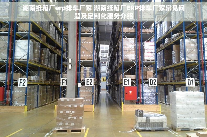 湖南纸箱厂erp排车厂家 湖南纸箱厂ERP排车厂家常见问题及定制化服务介绍