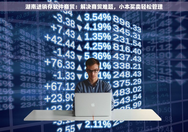 湖南进销存软件商贸：解决商贸难题，小本买卖轻松管理