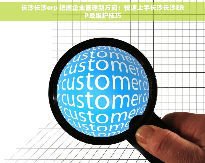 长沙长沙erp 把握企业管理新方向：快速上手长沙长沙ERP及维护技巧