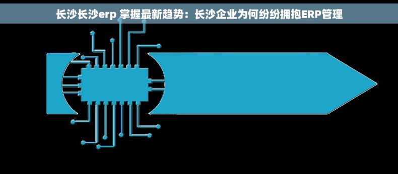 长沙长沙erp 掌握最新趋势：长沙企业为何纷纷拥抱ERP管理