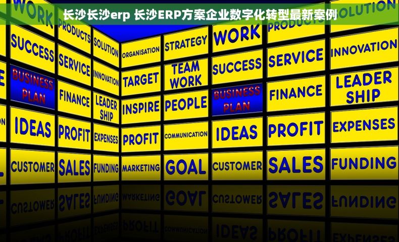 长沙长沙erp 长沙ERP方案企业数字化转型最新案例
