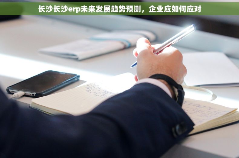 长沙长沙erp未来发展趋势预测，企业应如何应对