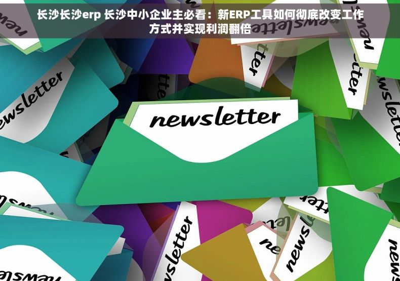 长沙长沙erp 长沙中小企业主必看：新ERP工具如何彻底改变工作方式并实现利润翻倍