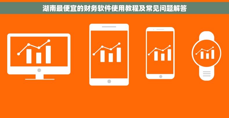 湖南最便宜的财务软件使用教程及常见问题解答