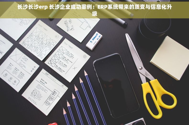 长沙长沙erp 长沙企业成功案例：ERP系统带来的质变与信息化升级