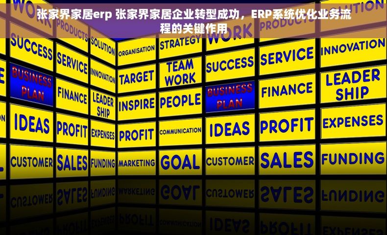 张家界家居erp 张家界家居企业转型成功，ERP系统优化业务流程的关键作用