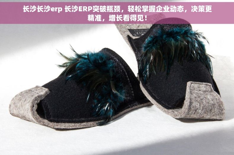 长沙长沙erp 长沙ERP突破瓶颈，轻松掌握企业动态，决策更精准，增长看得见！