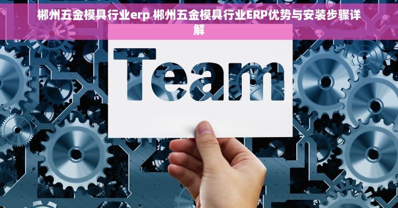 郴州五金模具行业erp 郴州五金模具行业ERP优势与安装步骤详解