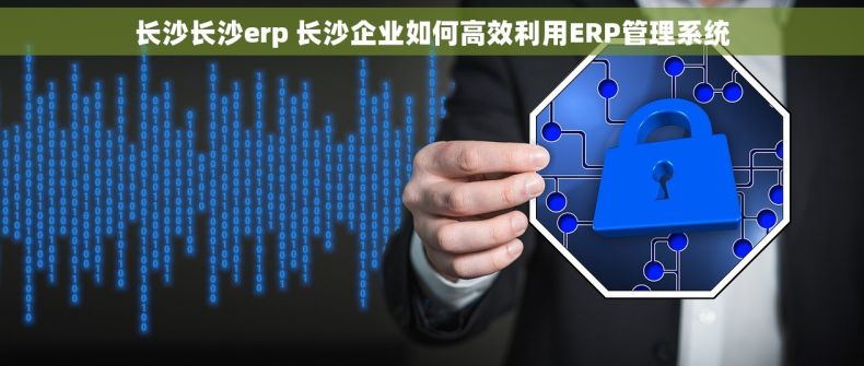 长沙长沙erp 长沙企业如何高效利用ERP管理系统