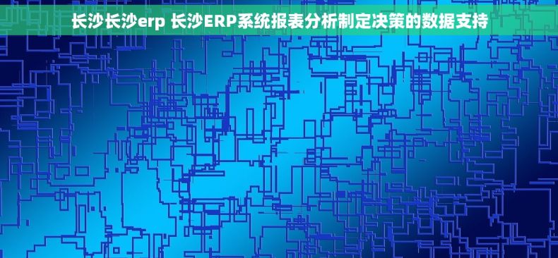长沙长沙erp 长沙ERP系统报表分析制定决策的数据支持