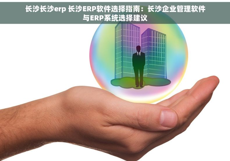 长沙长沙erp 长沙ERP软件选择指南：长沙企业管理软件与ERP系统选择建议