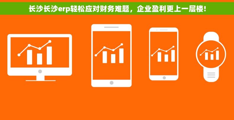 长沙长沙erp轻松应对财务难题，企业盈利更上一层楼!