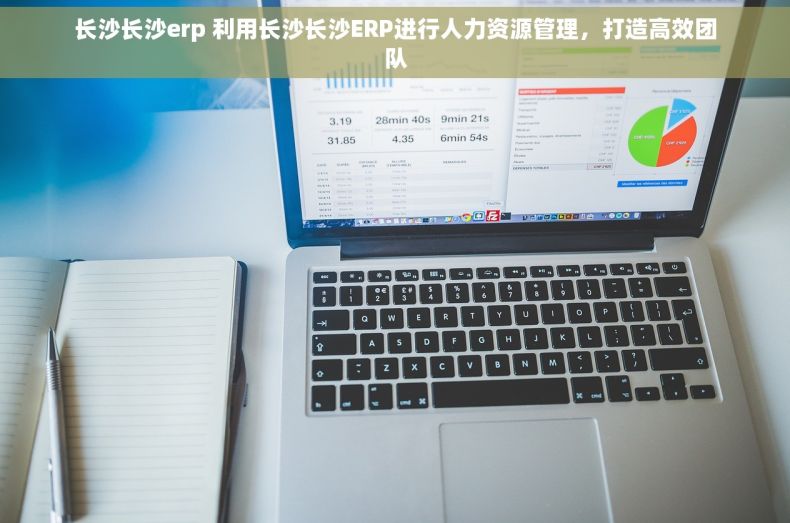 长沙长沙erp 利用长沙长沙ERP进行人力资源管理，打造高效团队