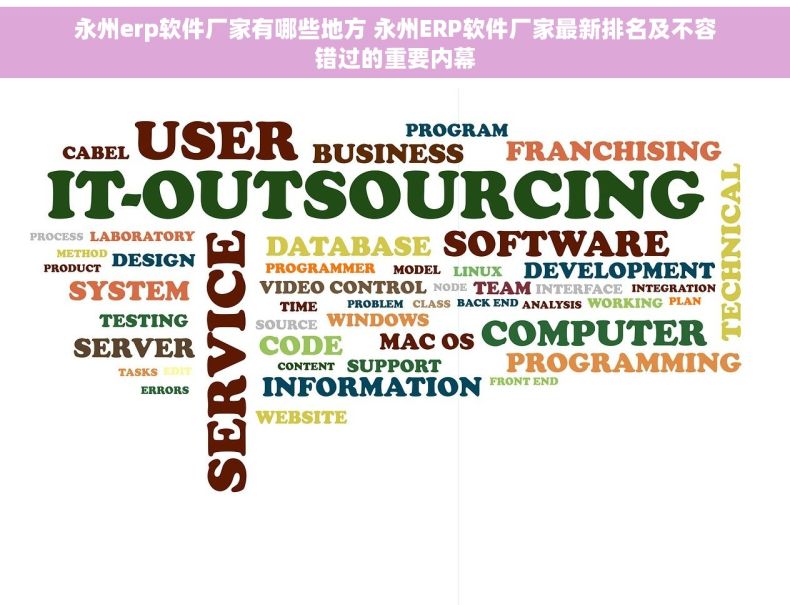 永州erp软件厂家有哪些地方 永州ERP软件厂家最新排名及不容错过的重要内幕