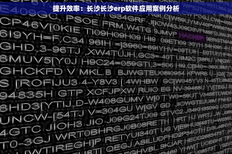 提升效率：长沙长沙erp软件应用案例分析