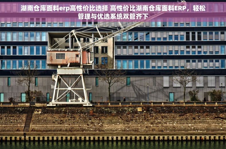 湖南仓库面料erp高性价比选择 高性价比湖南仓库面料ERP，轻松管理与优选系统双管齐下