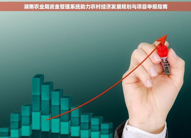 湖南农业局资金管理系统助力农村经济发展规划与项目申报指南