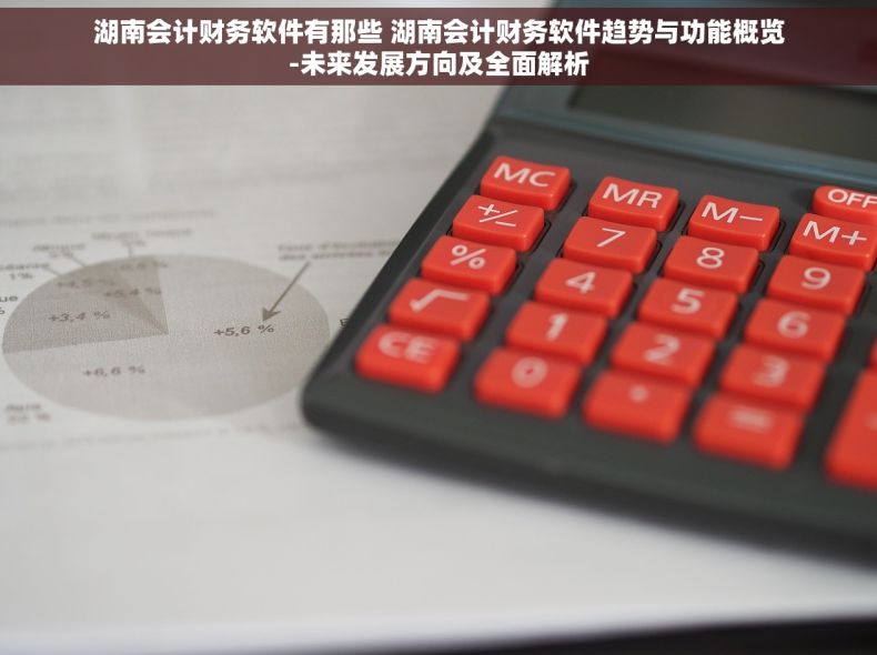湖南会计财务软件有那些 湖南会计财务软件趋势与功能概览-未来发展方向及全面解析