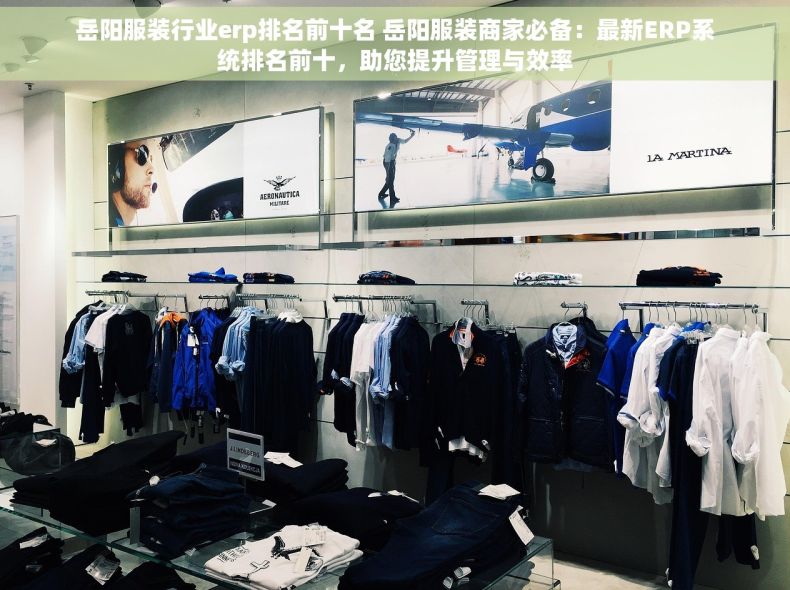 岳阳服装行业erp排名前十名 岳阳服装商家必备：最新ERP系统排名前十，助您提升管理与效率