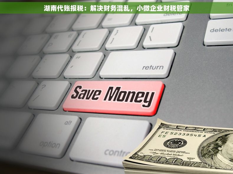 湖南代账报税：解决财务混乱，小微企业财税管家