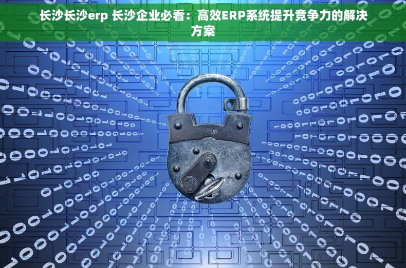 长沙长沙erp 长沙企业必看：高效ERP系统提升竞争力的解决方案