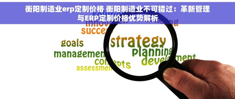 衡阳制造业erp定制价格 衡阳制造业不可错过：革新管理与ERP定制价格优势解析