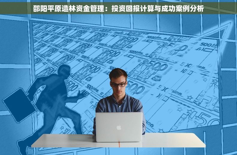 邵阳平原造林资金管理：投资回报计算与成功案例分析