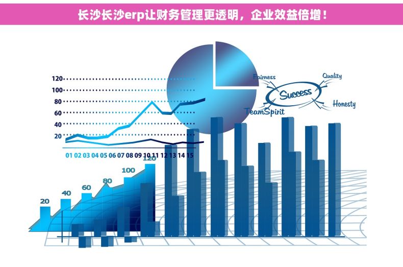 长沙长沙erp让财务管理更透明，企业效益倍增！
