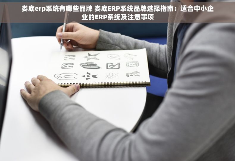 娄底erp系统有哪些品牌 娄底ERP系统品牌选择指南：适合中小企业的ERP系统及注意事项