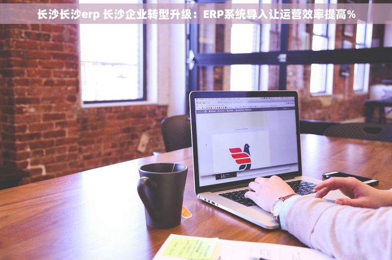 长沙长沙erp 长沙企业转型升级：ERP系统导入让运营效率提高%