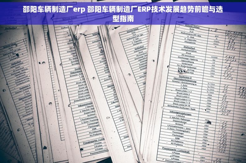 邵阳车辆制造厂erp 邵阳车辆制造厂ERP技术发展趋势前瞻与选型指南