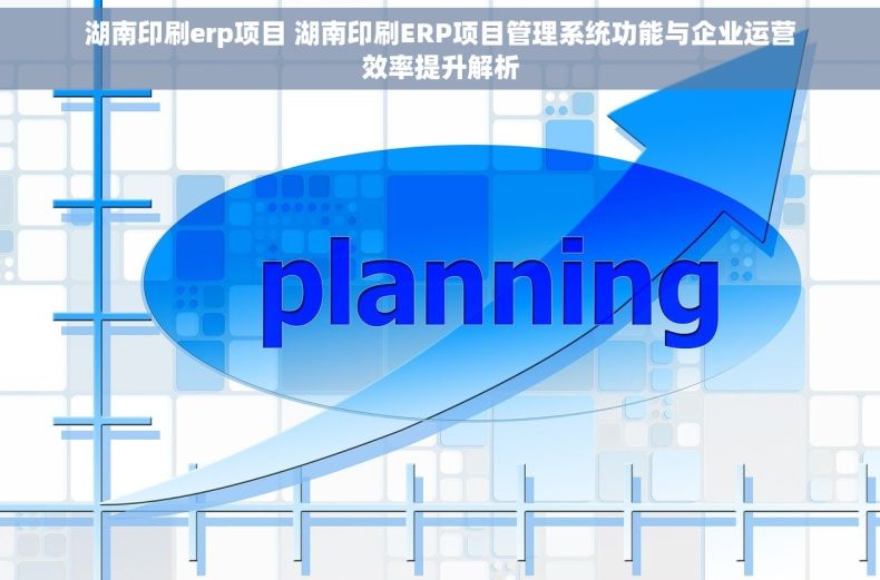 湖南印刷erp项目 湖南印刷ERP项目管理系统功能与企业运营效率提升解析