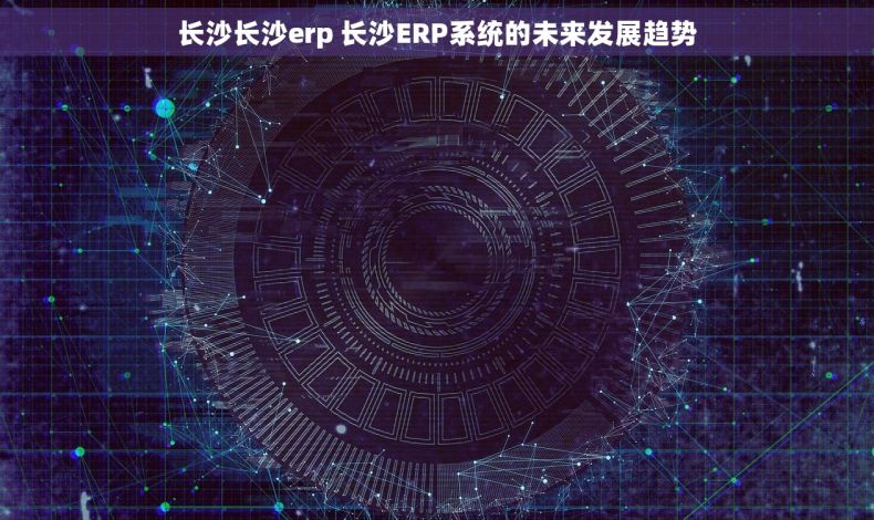 长沙长沙erp 长沙ERP系统的未来发展趋势