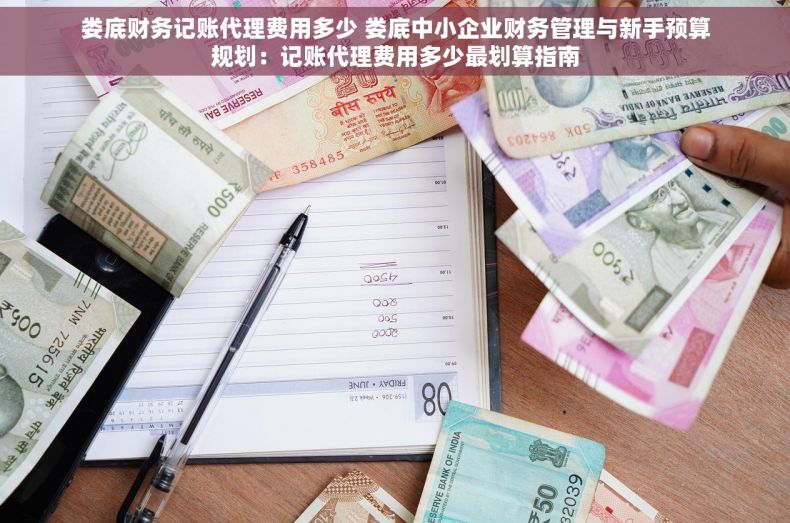 娄底财务记账代理费用多少 娄底中小企业财务管理与新手预算规划：记账代理费用多少最划算指南